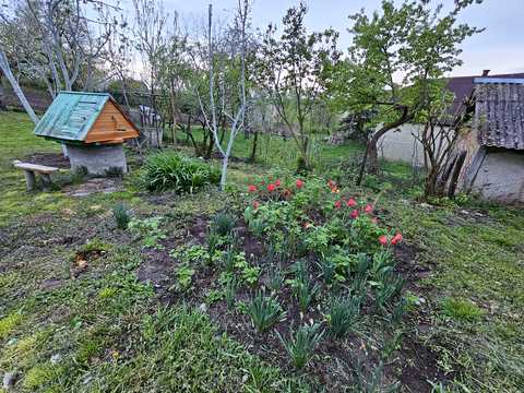 будинок за адресою с. Лубське, Лубська, 1