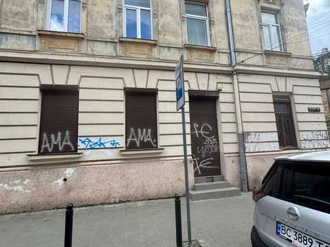 комерційна за адресою Пантелеймона Куліша вул., 24
