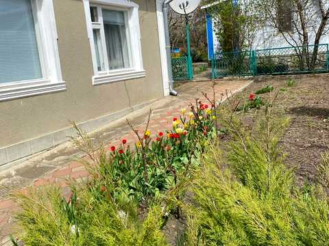 будинок за адресою Чехова, 5