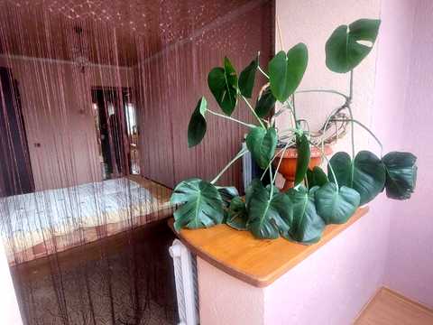 квартира за адресою Шота Руставелі вул., 9