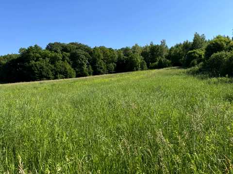ділянка за адресою с. Підтемне,