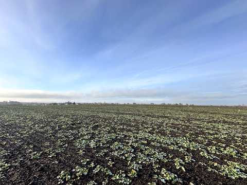 участок по адресу с. Глуховичи,