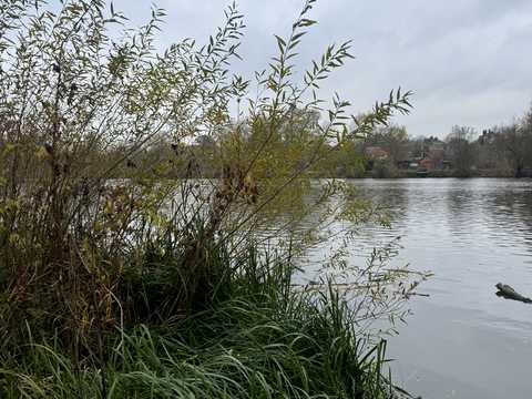 ділянка за адресою Зарічна вул.