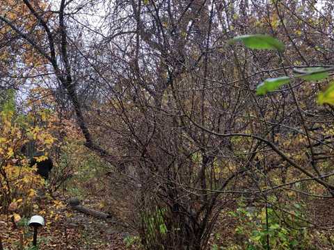 ділянка за адресою Товарна вул., 53