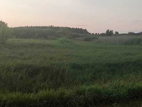 участок по адресу Першотравнева