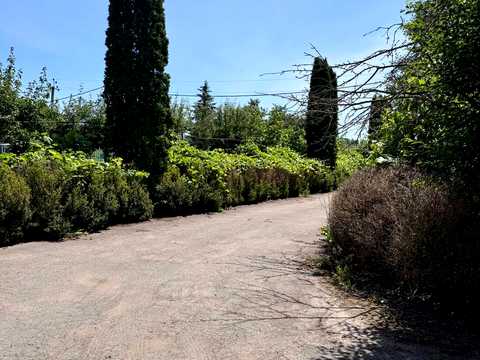 комерційна за адресою Горобцьова, 1