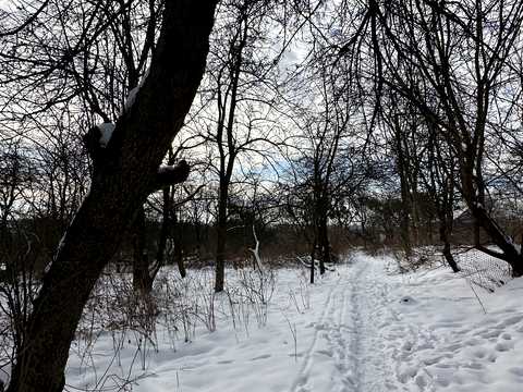 участок по адресу Холодная ул.