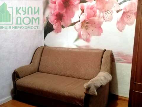 будинок за адресою Чміленка, 95