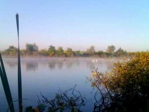 участок по адресу Зелена
