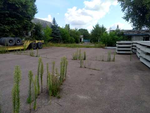 коммерческая по адресу Попова ул. (Попова), 14 А