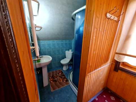 комерційна за адресою с. Гребенів, Тараса Шевченка вул., 84в