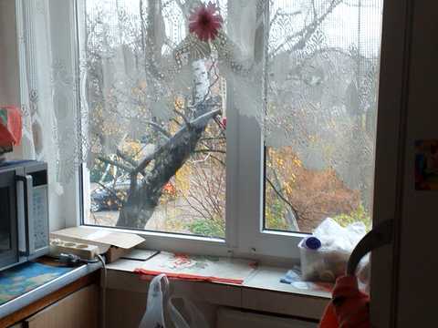 квартира за адресою ул. Генерала Иренеева, 4