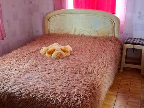 дом по адресу Богатырская ул.
