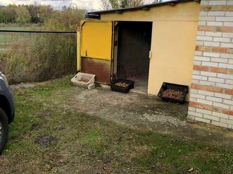 дом по адресу с. Малая Супоевка, Польова, 2