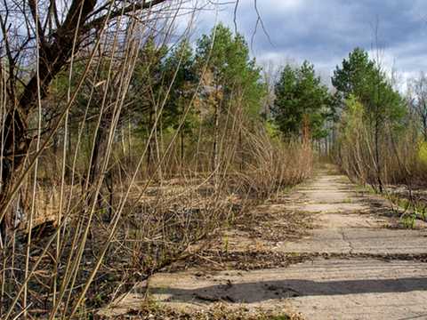 ділянка за адресою с. Матвіївка, 