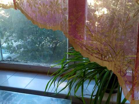 квартира по адресу Остафия Дашкевича ул. (Курнатовського), 22