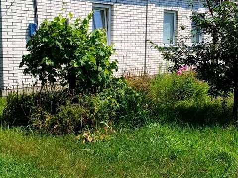 будинок за адресою Київська вул. (Мічуріна)