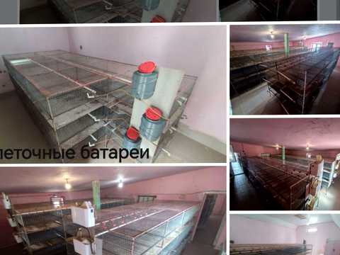 комерційна за адресою с. Старокозаче, Центральна, 20
