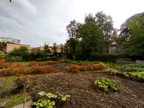дом по адресу Циолковского ул. (Ціолковського), 8