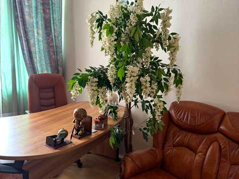 квартира за адресою Слюсарний пров., 10