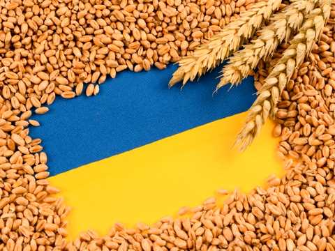 комерційна за адресою Одеса, Вапняна вул. (Філодорова), 1