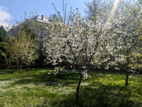 будинок за адресою Гамалії вул.