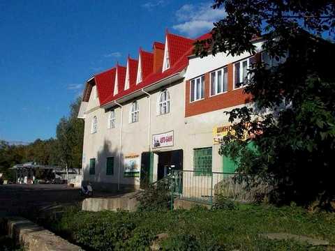 комерційна за адресою Центральна вул. (Леніна), 1а