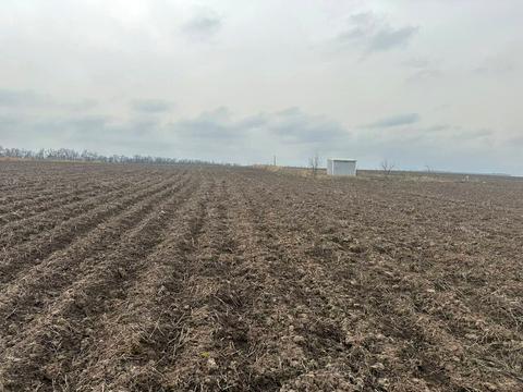 ділянка за адресою с. Лісові Гринівці,