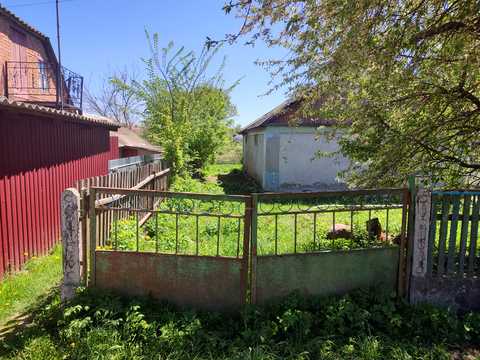 дом по адресу Ломоносова, 24