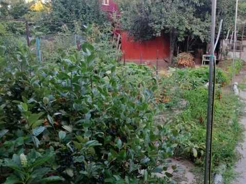 будинок за адресою Запоріжжя, Інженера Лата вул.