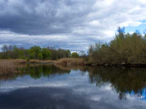 ділянка за адресою с. Матвіївка, 