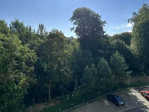 квартира за адресою Олександра Олеся вул., 25-Д