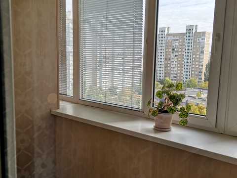 квартира по адресу Каштановая ул., 8-Б