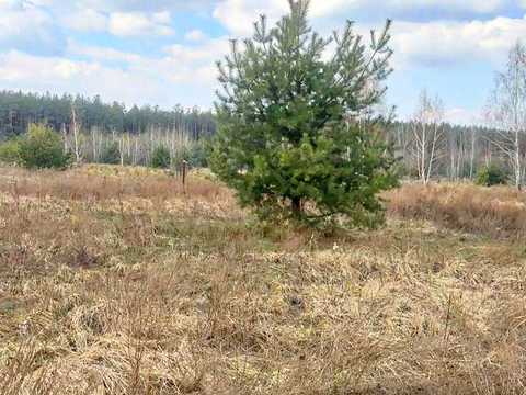 участок по адресу Кленова
