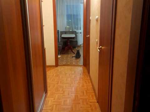 комната по адресу Олены Пчилки ул., 4