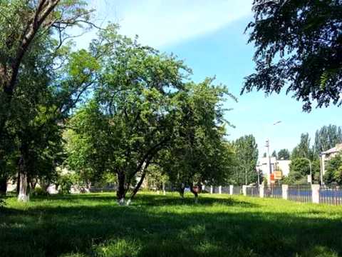 квартира за адресою Академіка Шалімова вул. (Героїв Севастополя), 23