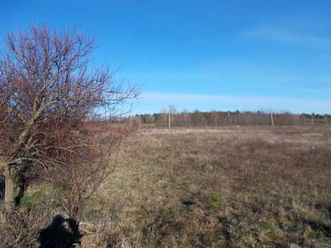 участок по адресу Архітектурна, 1
