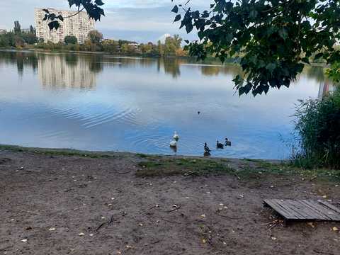 квартира по адресу Юрия Шумского ул., 3-Г