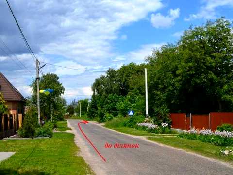 ділянка за адресою рильського, 8