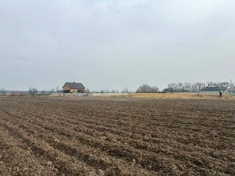 ділянка за адресою с. Лісові Гринівці,