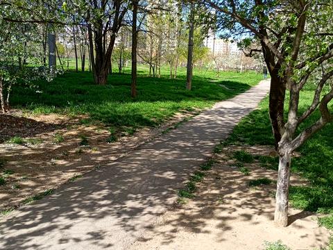 комерційна за адресою Академіка Заболотного вул., 66
