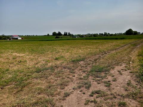 ділянка за адресою Нове село