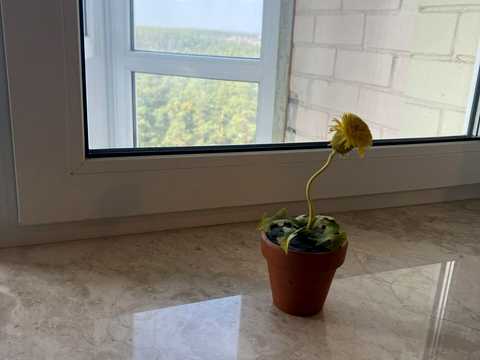 квартира за адресою Будівельників вул., 11
