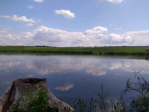 участок по адресу с. Червоная Чагаровка,