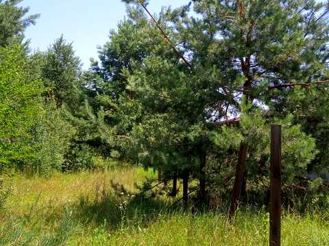 ділянка за адресою 