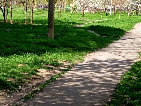 комерційна за адресою Академіка Заболотного вул., 66