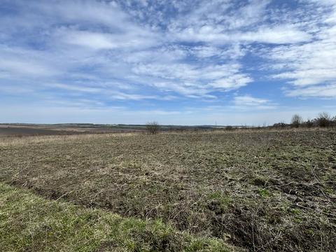 ділянка за адресою с. Лісові Гринівці, 