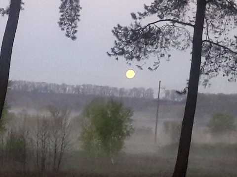 будинок за адресою Мирна