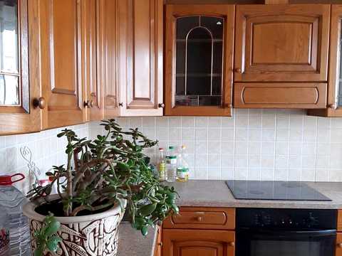 квартира за адресою Оноре де Бальзака вул., 58