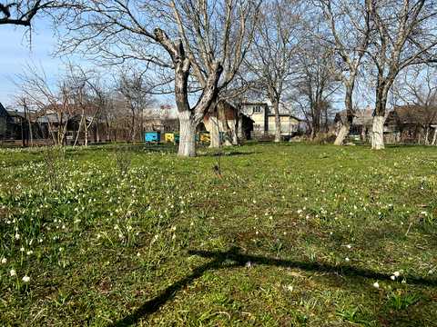 будинок за адресою Шевченка, 45